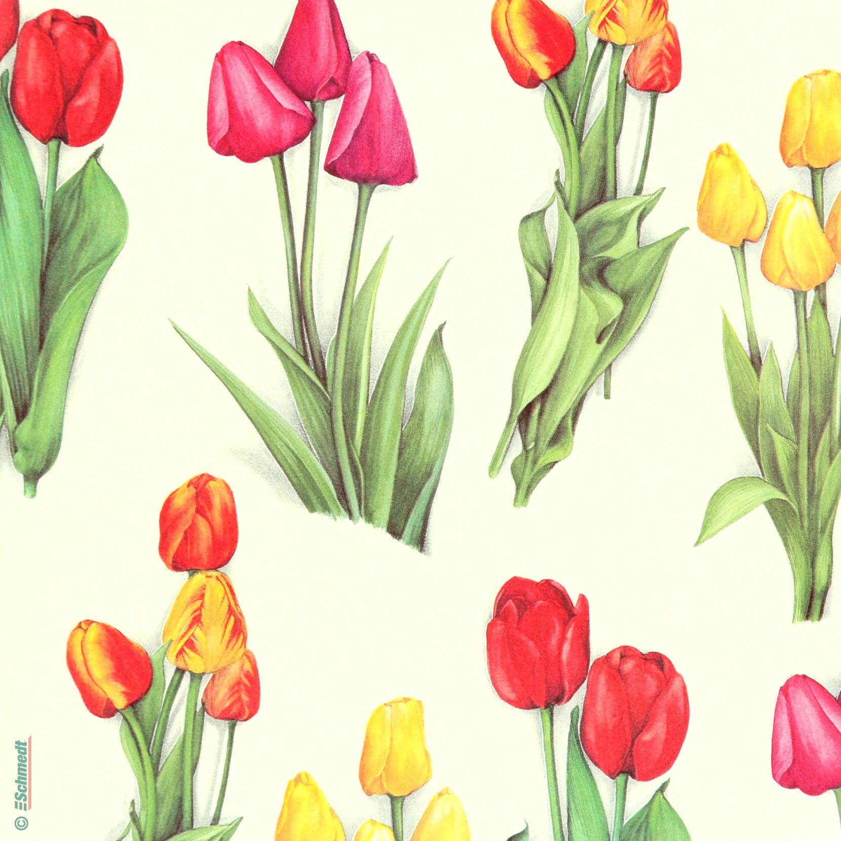 036 - Tulips