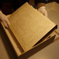 Collection and exhibition supplies