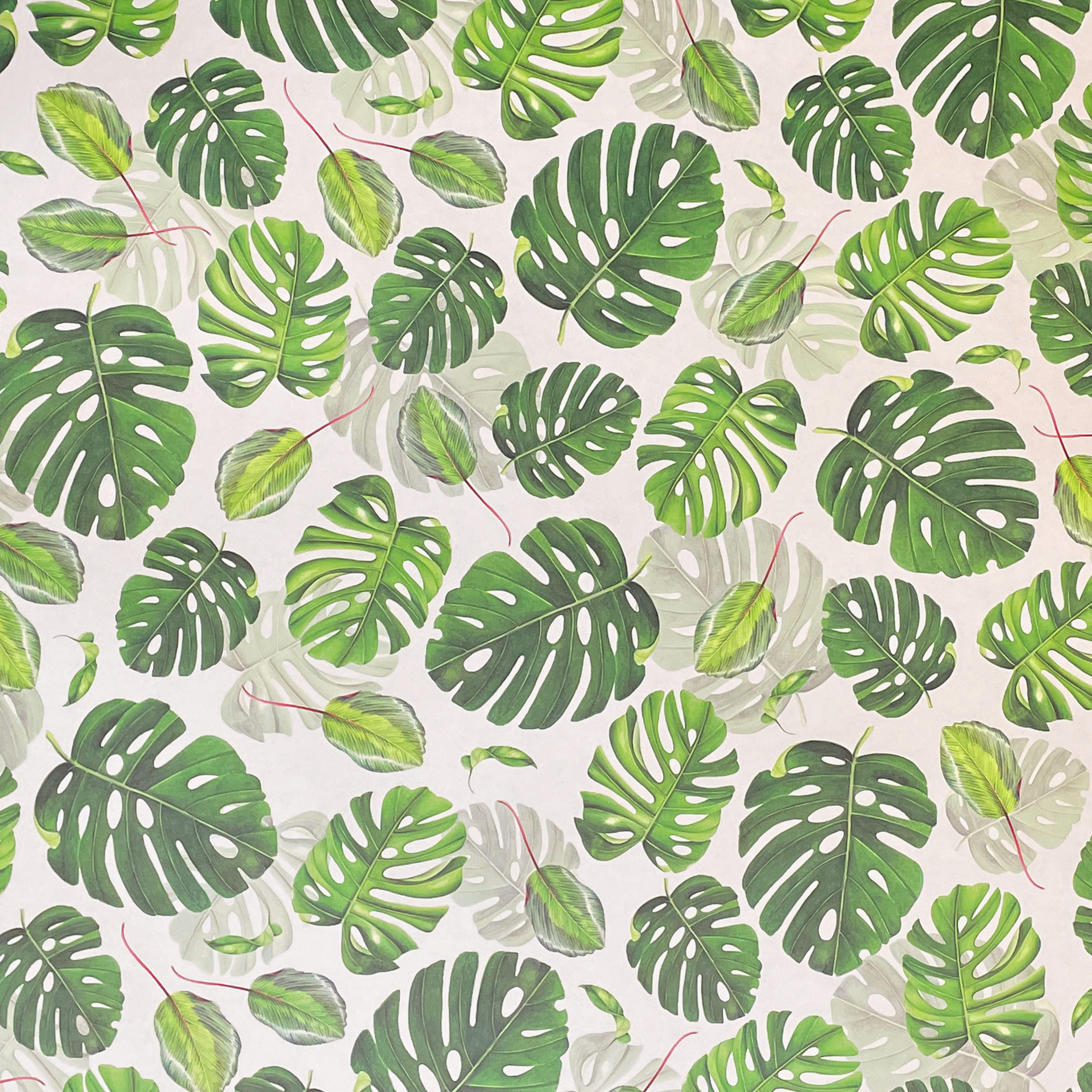 054 - Tropical leaves