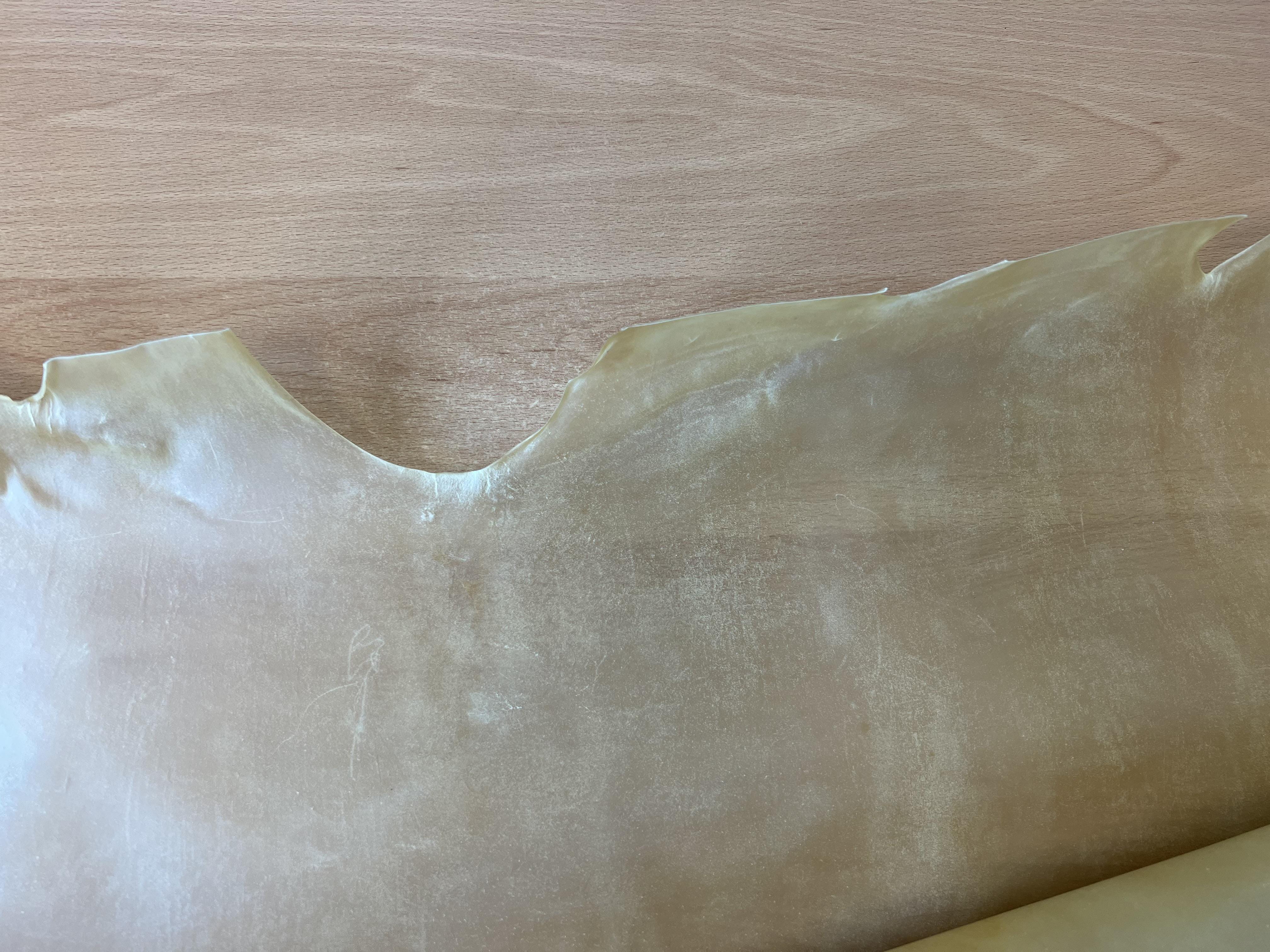 Calf parchment -  unpolished • special offer - for bookbinders - approx. 0.26 - 0.4 mm thick - for producing high-quality books with a genui...