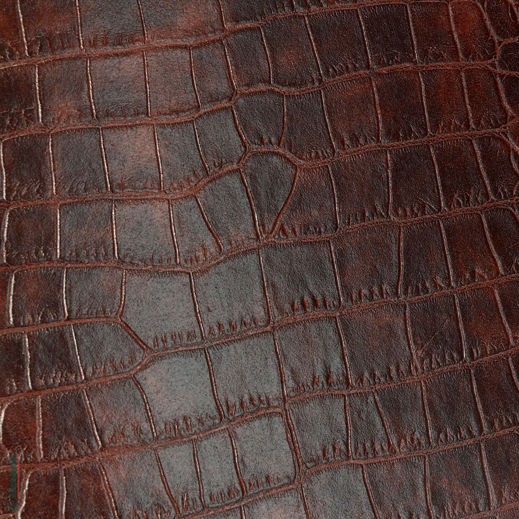 Excel-Tan - Lederfaserstoff - Farbe 7813 - braun - Prägung Amazona - zum Beziehen von Büchern, Mappen, Ordnern, Speisekarten, Taschenkalende... - Bild-1