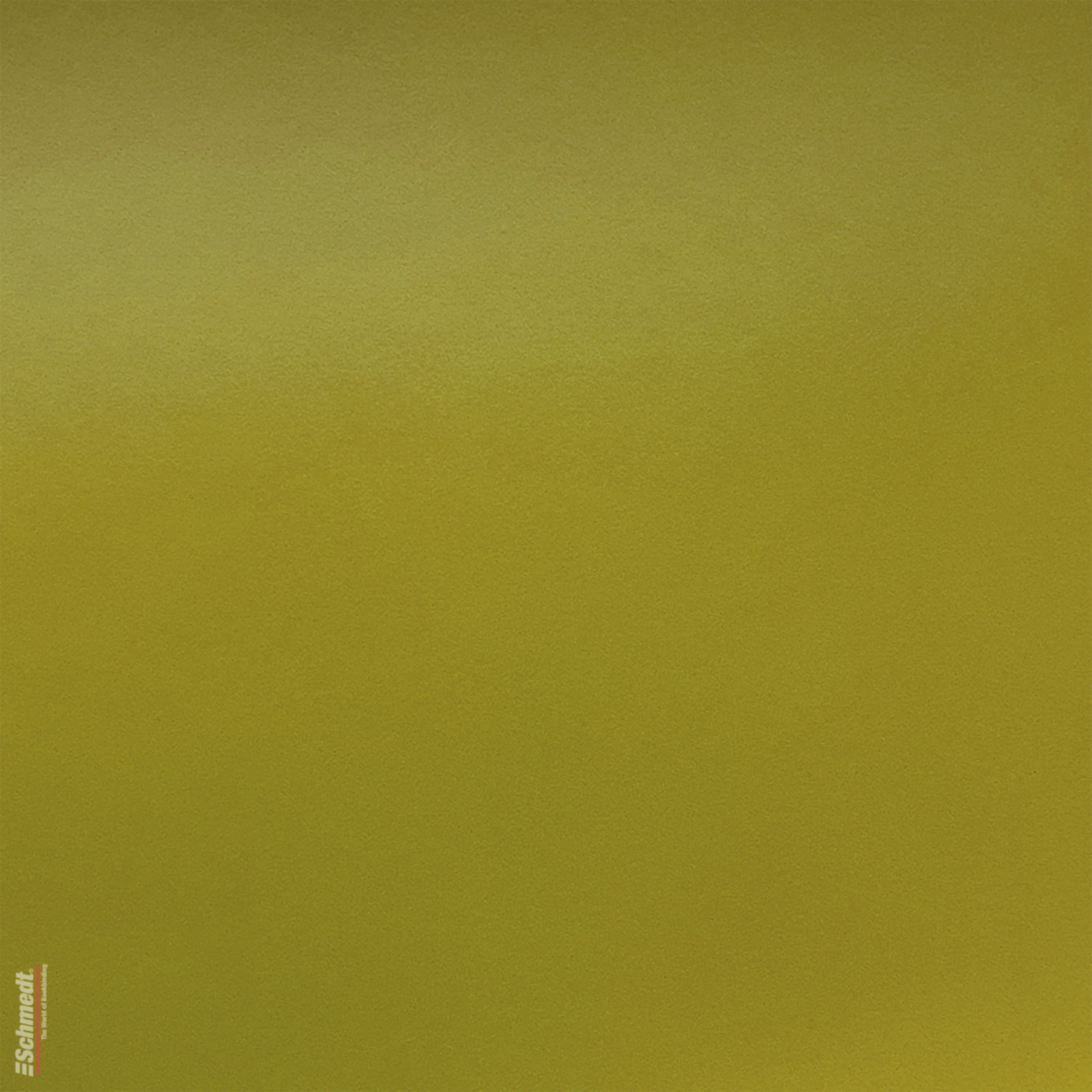 Sidra • Apple leather - Colour 007 - apple green - for high quality books, photo books, albums, menus, boxes etc.... - image-1