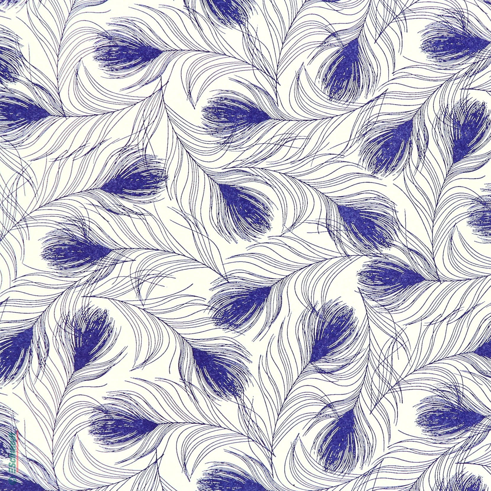 019 - feathers blue