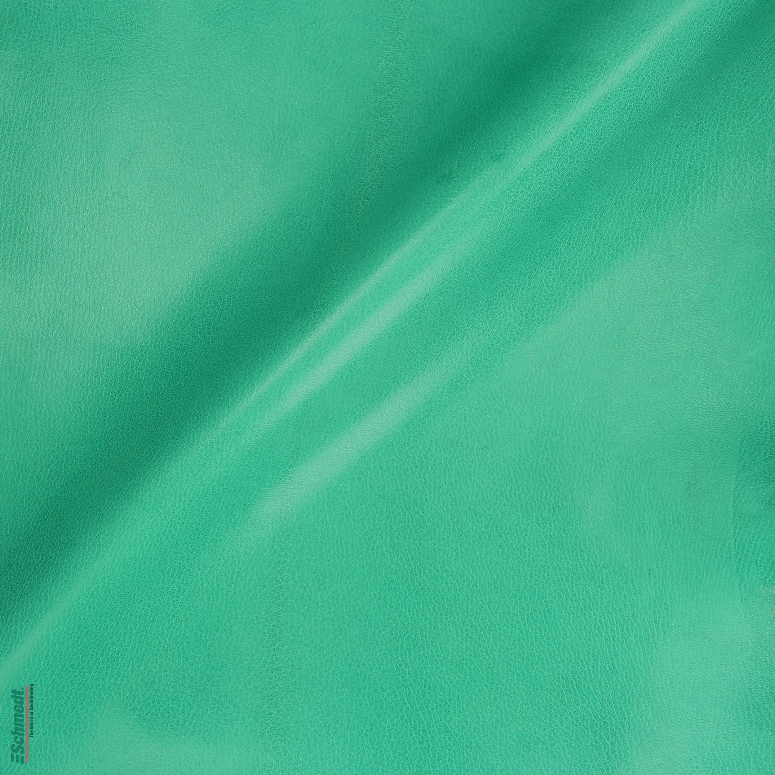017 - vert