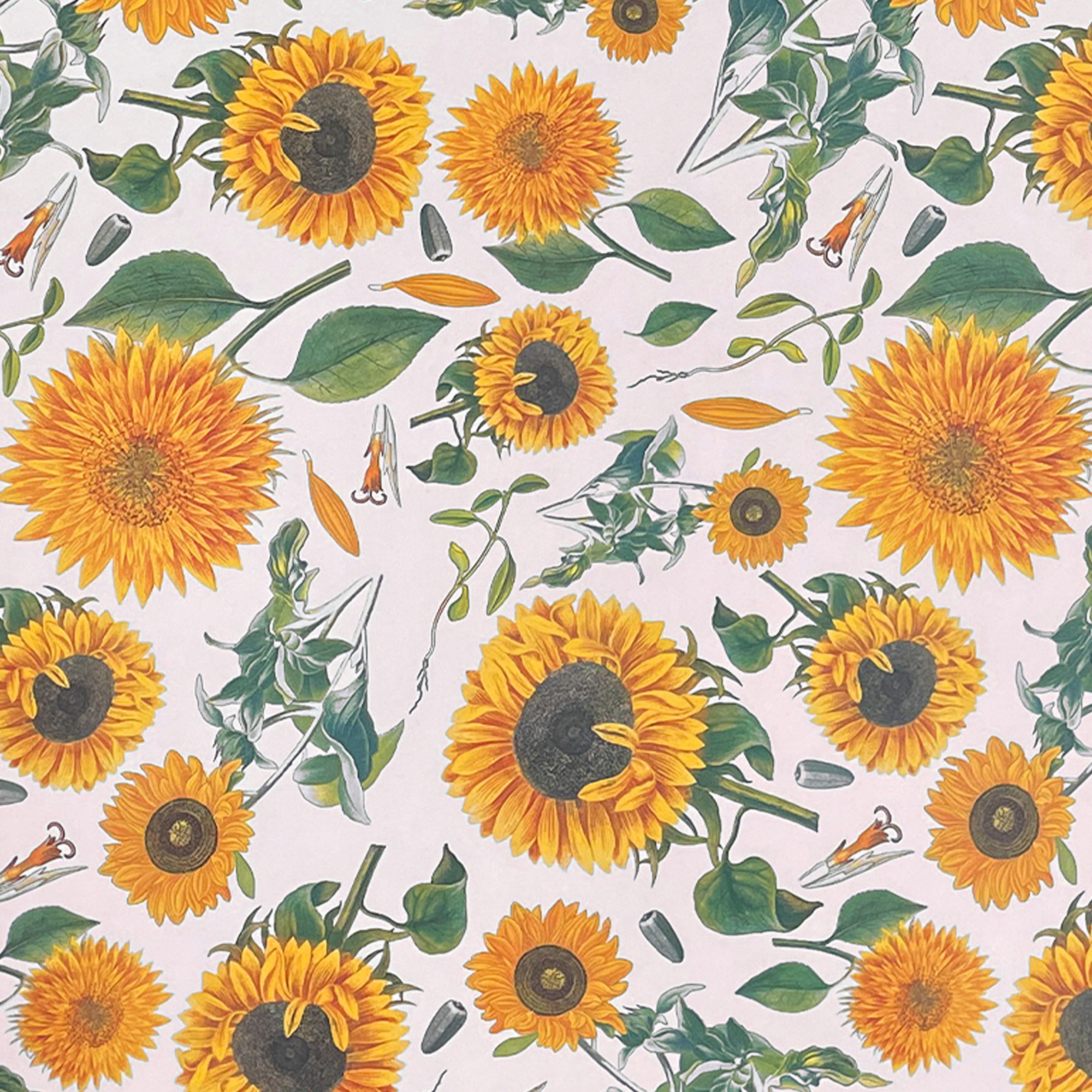 055 - Sunflowers