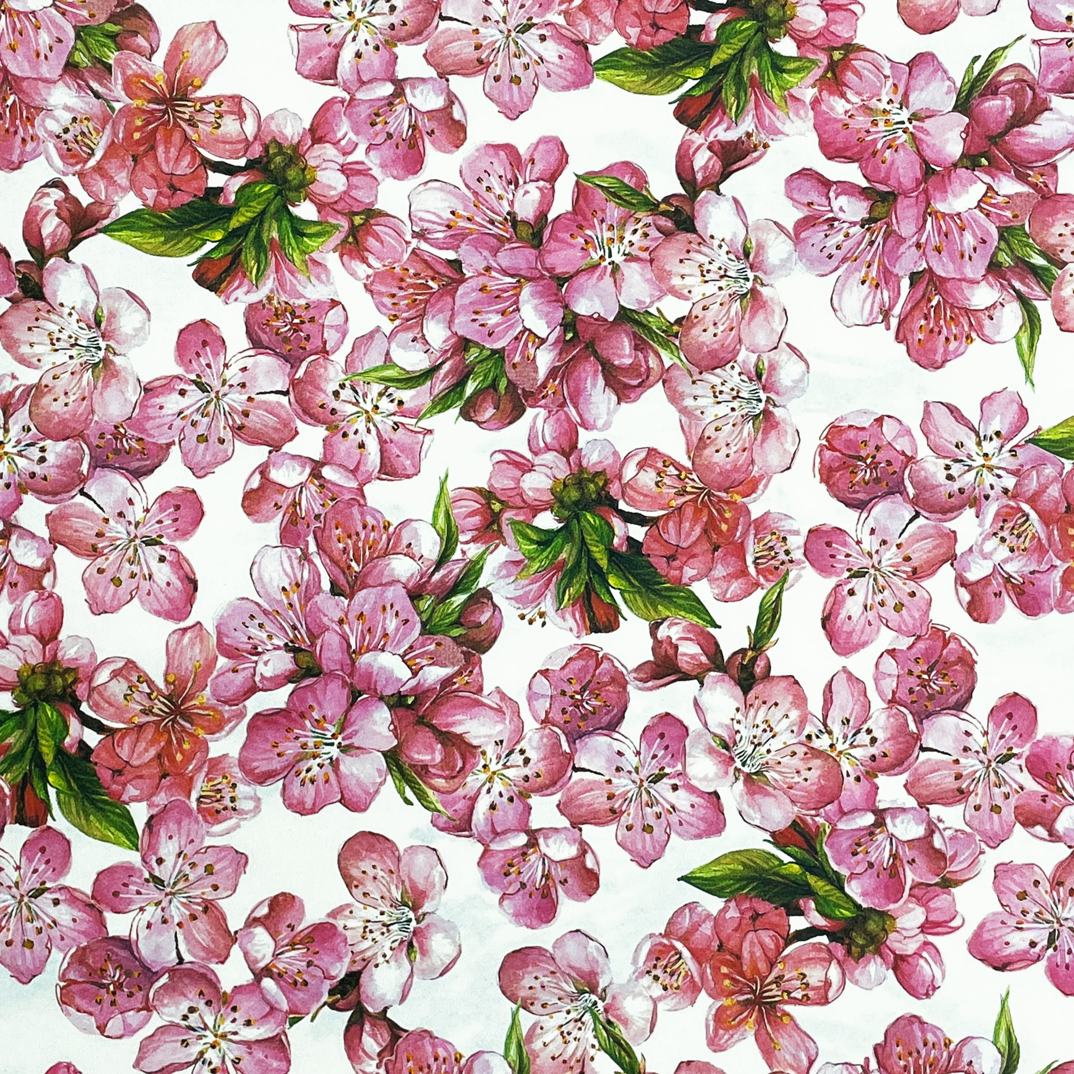 Buntpapier • Flächengewicht: 85 g/m² - Farbe 009 - Magnolien - bedrucktes Papier als Bezugspapier für Bücher, Schachteln, Boxen, Verpackunge... - Bild-1