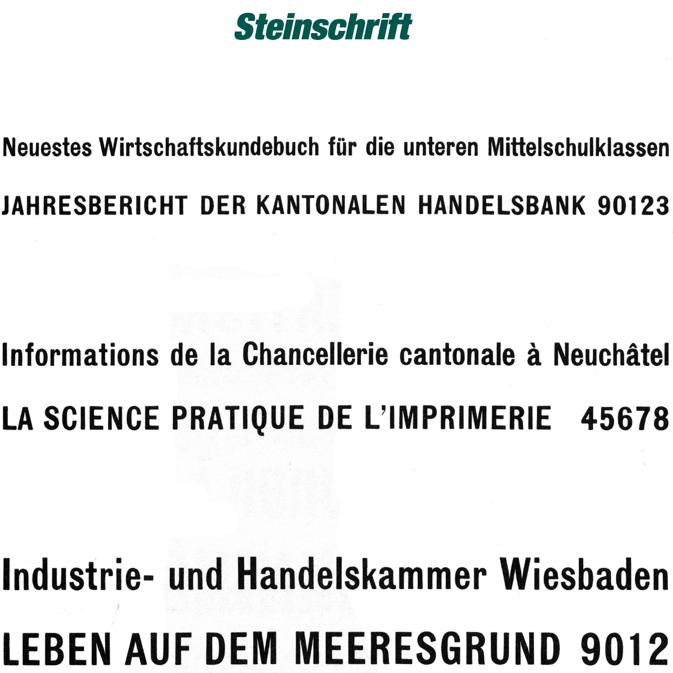Haas typestyle Steinschrift - made of zinc-aluminium - to insert into a typeholder (manual of for blocking press) for hot-foil stamping of t... - image-1