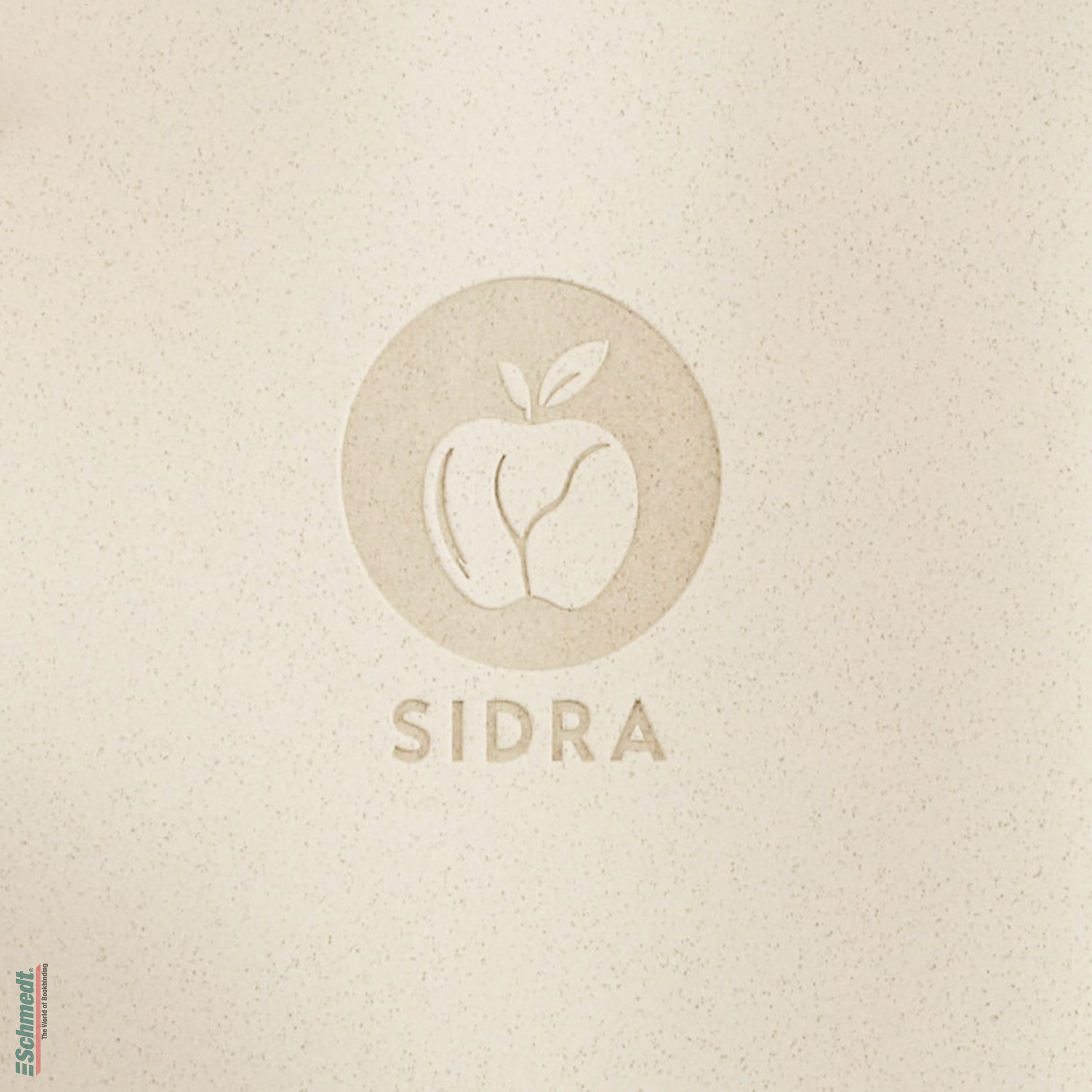 Sidra • cuero de manzana - Color 020 - beís - Aplicación: para tapas de libros de alta calidad, álbumes, menús, cajas etc.... - imagen-1