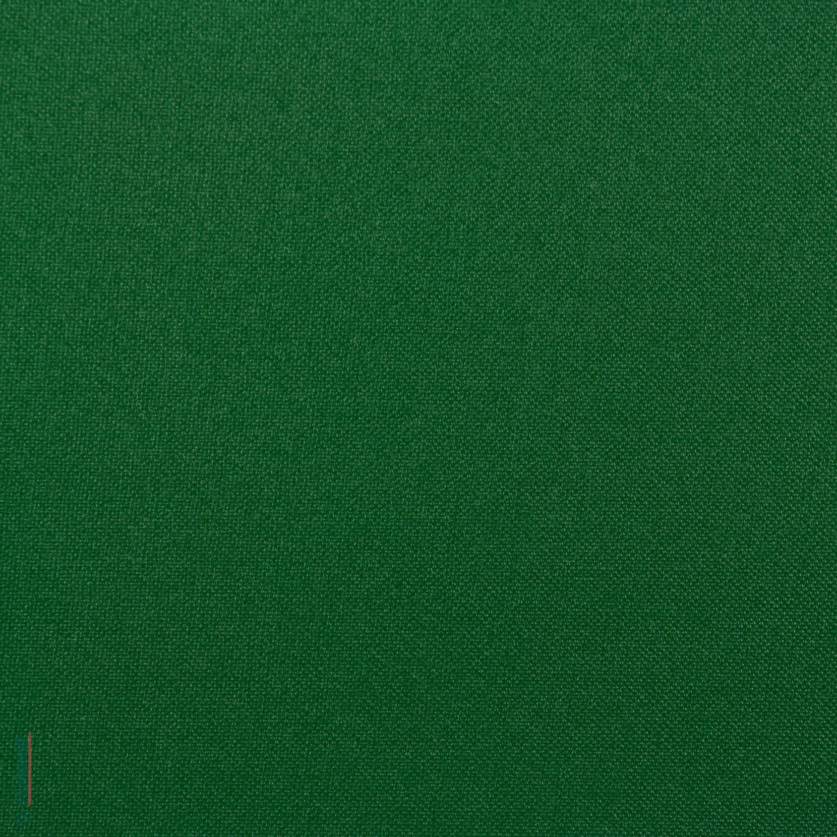 504 - medium green