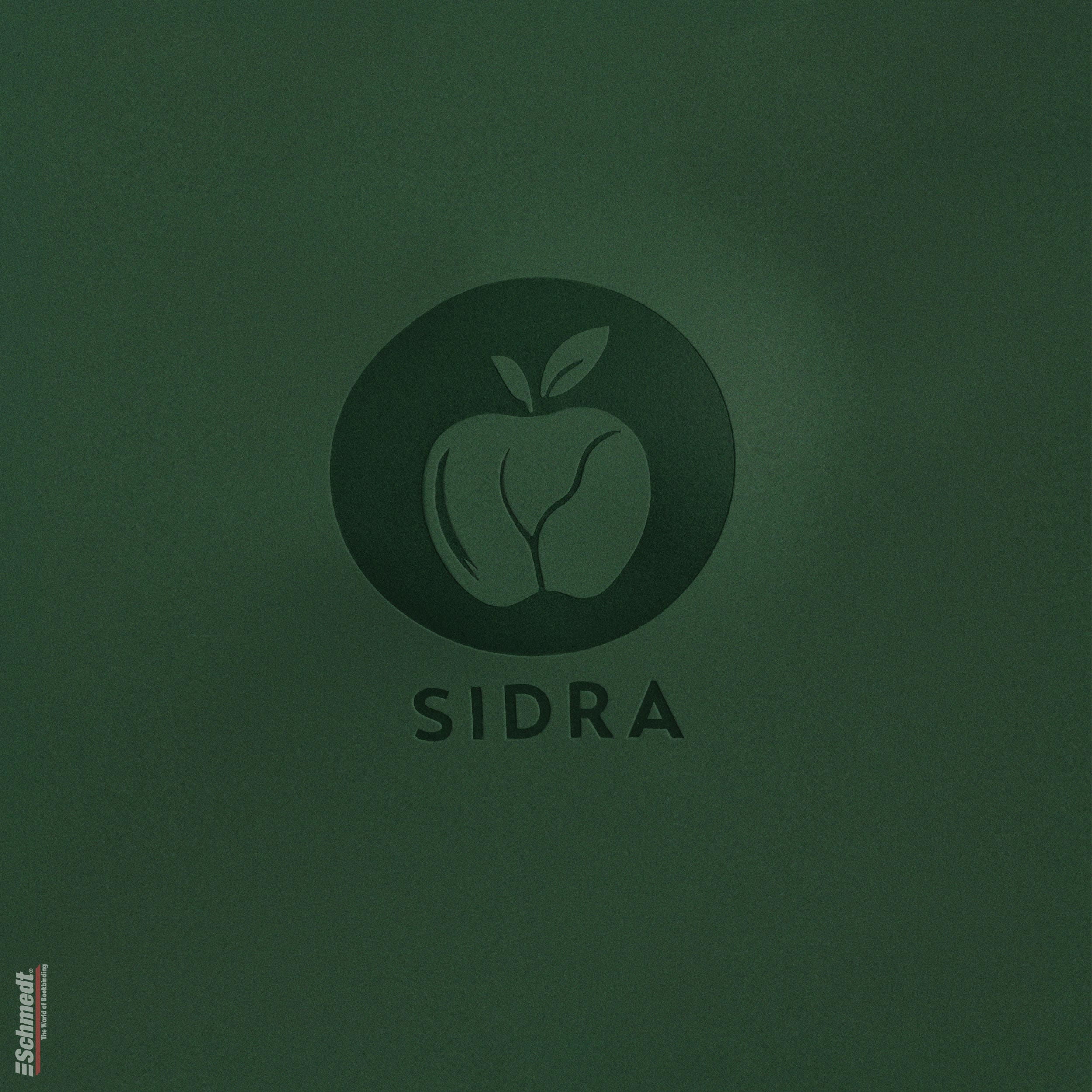 Sidra • cuero de manzana - Color 008 - verde - Aplicación: para tapas de libros de alta calidad, álbumes, menús, cajas etc.... - imagen-1