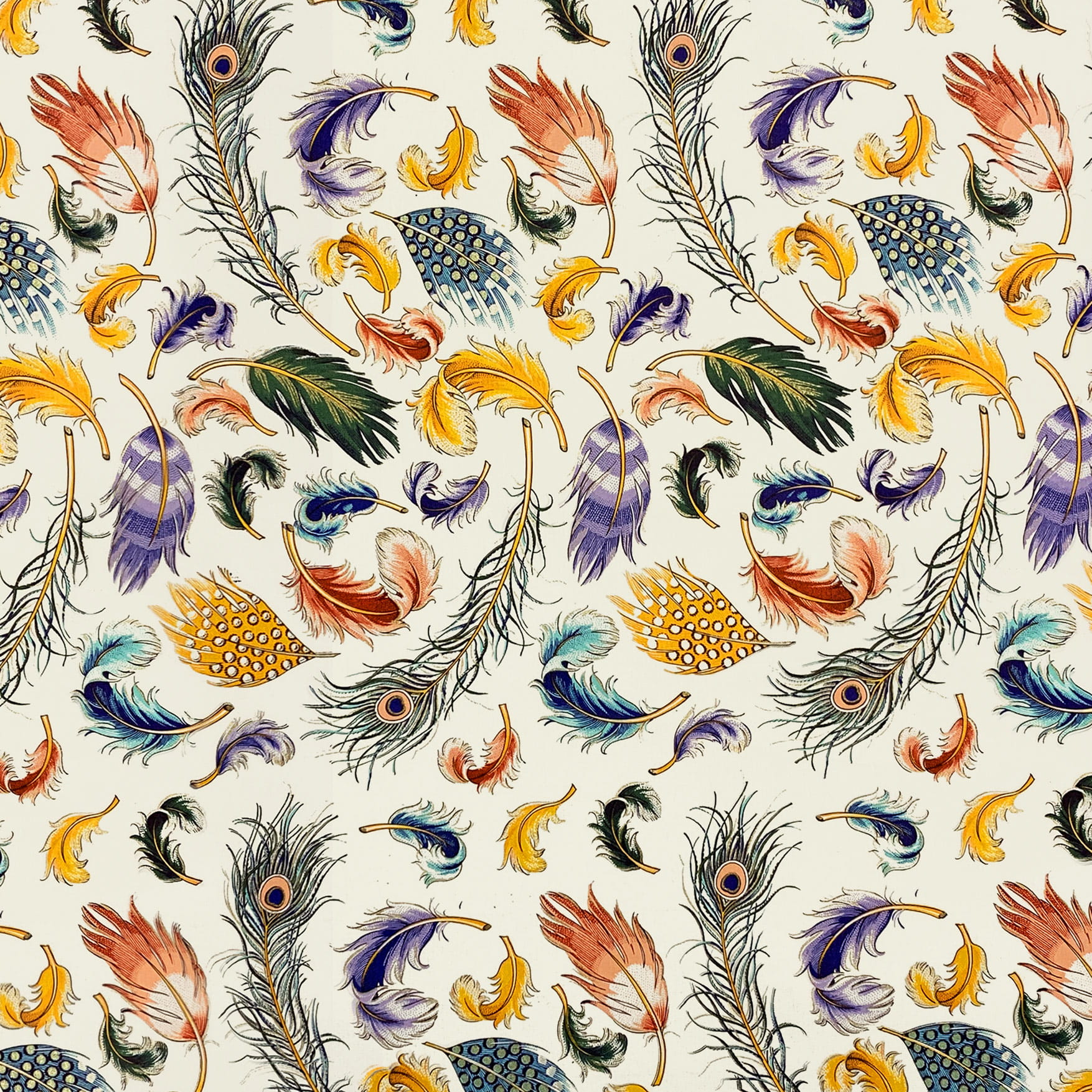 012 - Colourful feathers