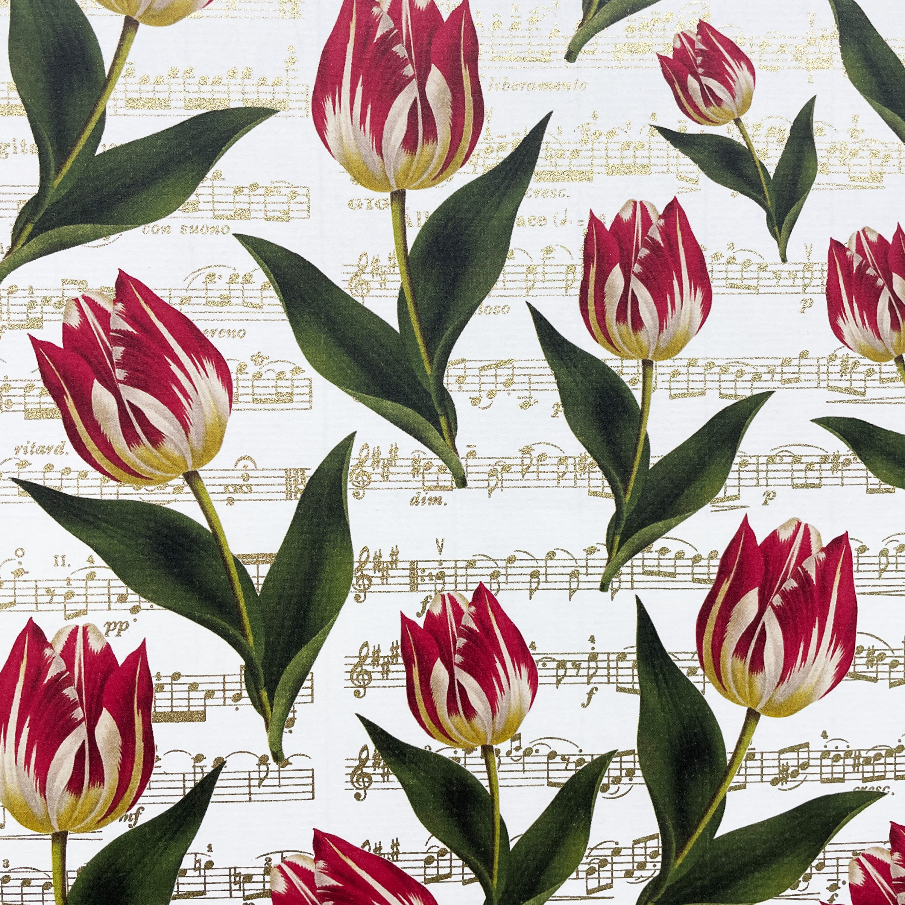 077 - musical tulips