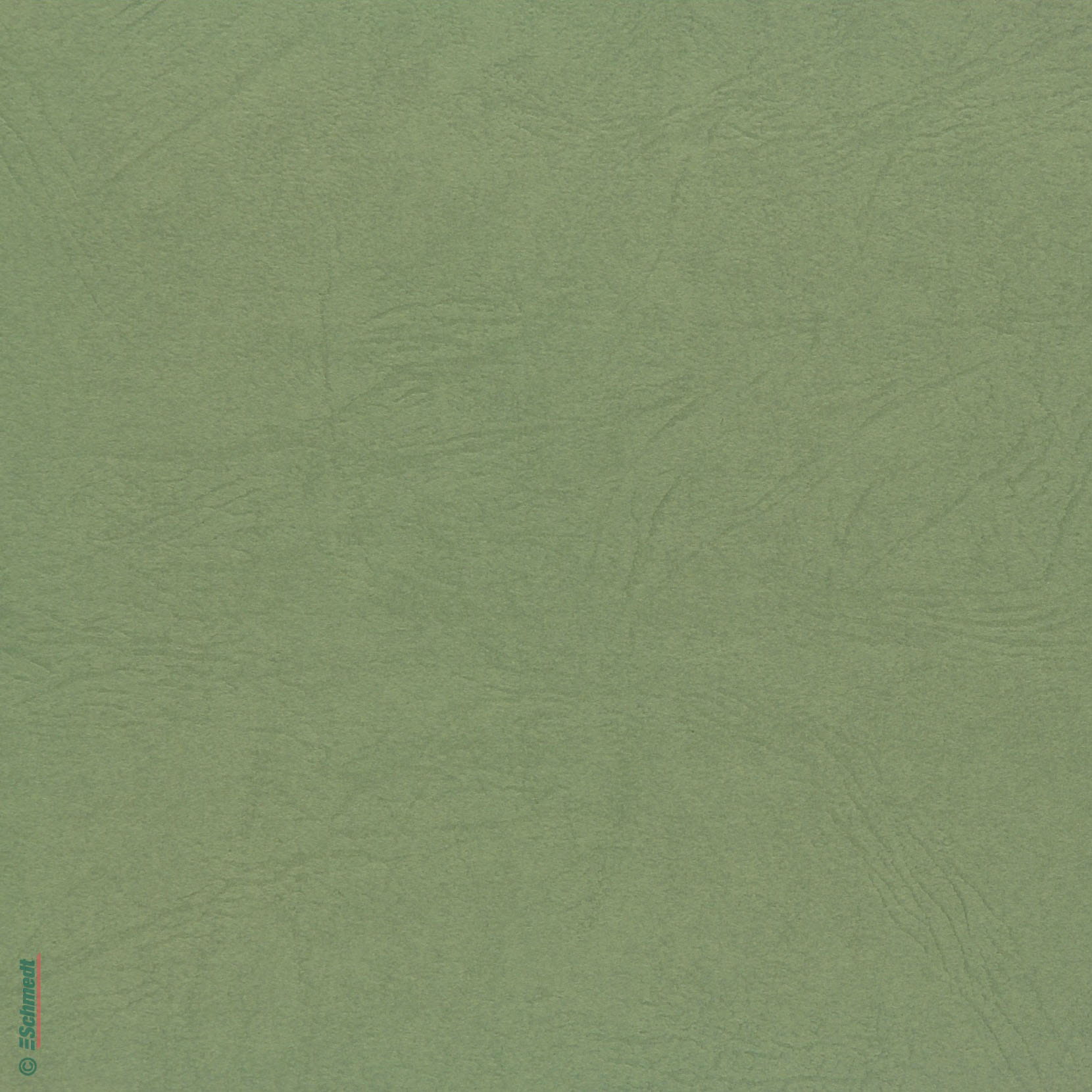 Nebelhorn - papier de couverture - Couleur 029 - vert clair - pour couvertures de livres, classeurs, portefeuilles, emballage et d'autres ap...