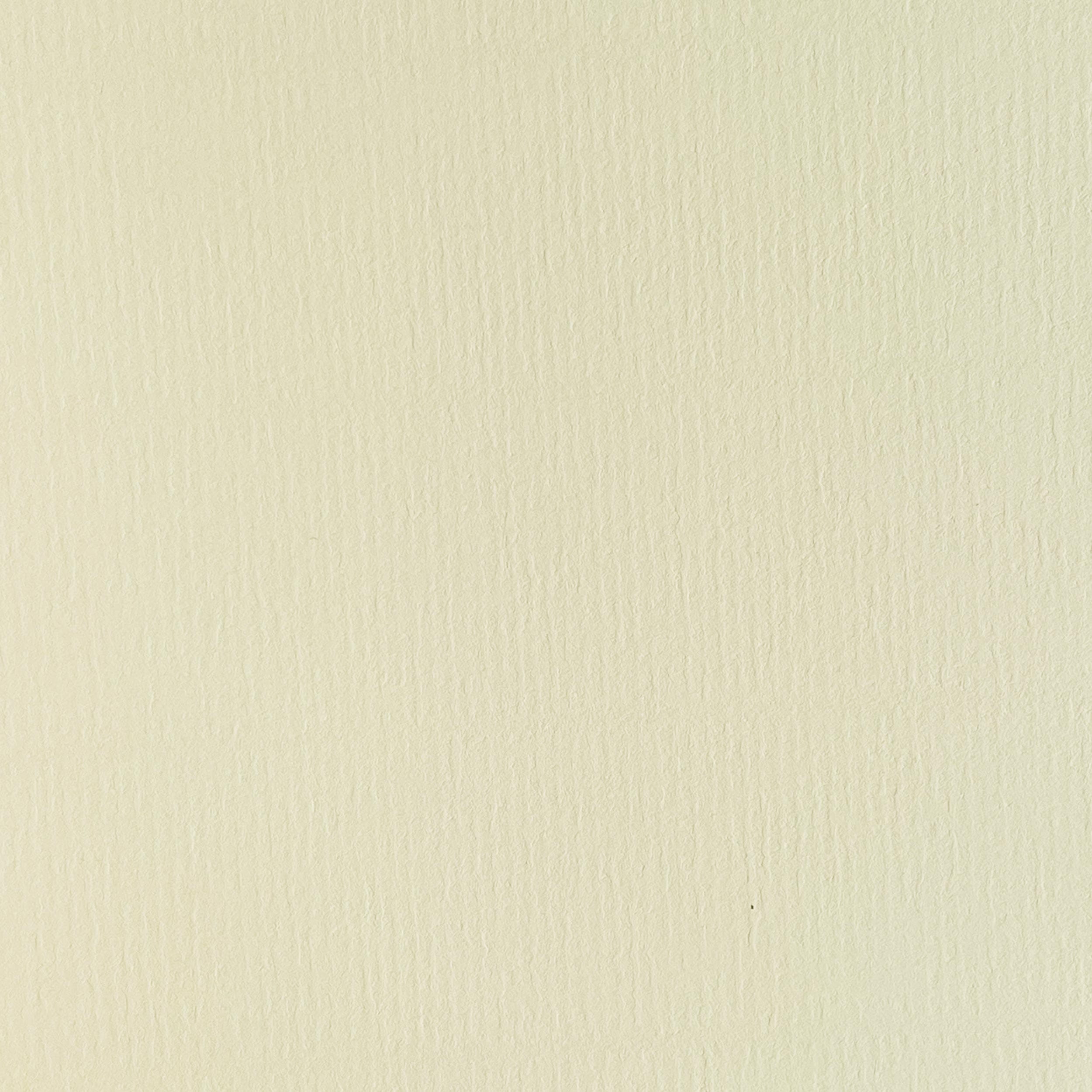 Marbling paper - Colour natural white - Texture laid (ribbed) - Format 297 x 210 mm - Machine-made deckle-edge paper to produce marbled pape... - image-1