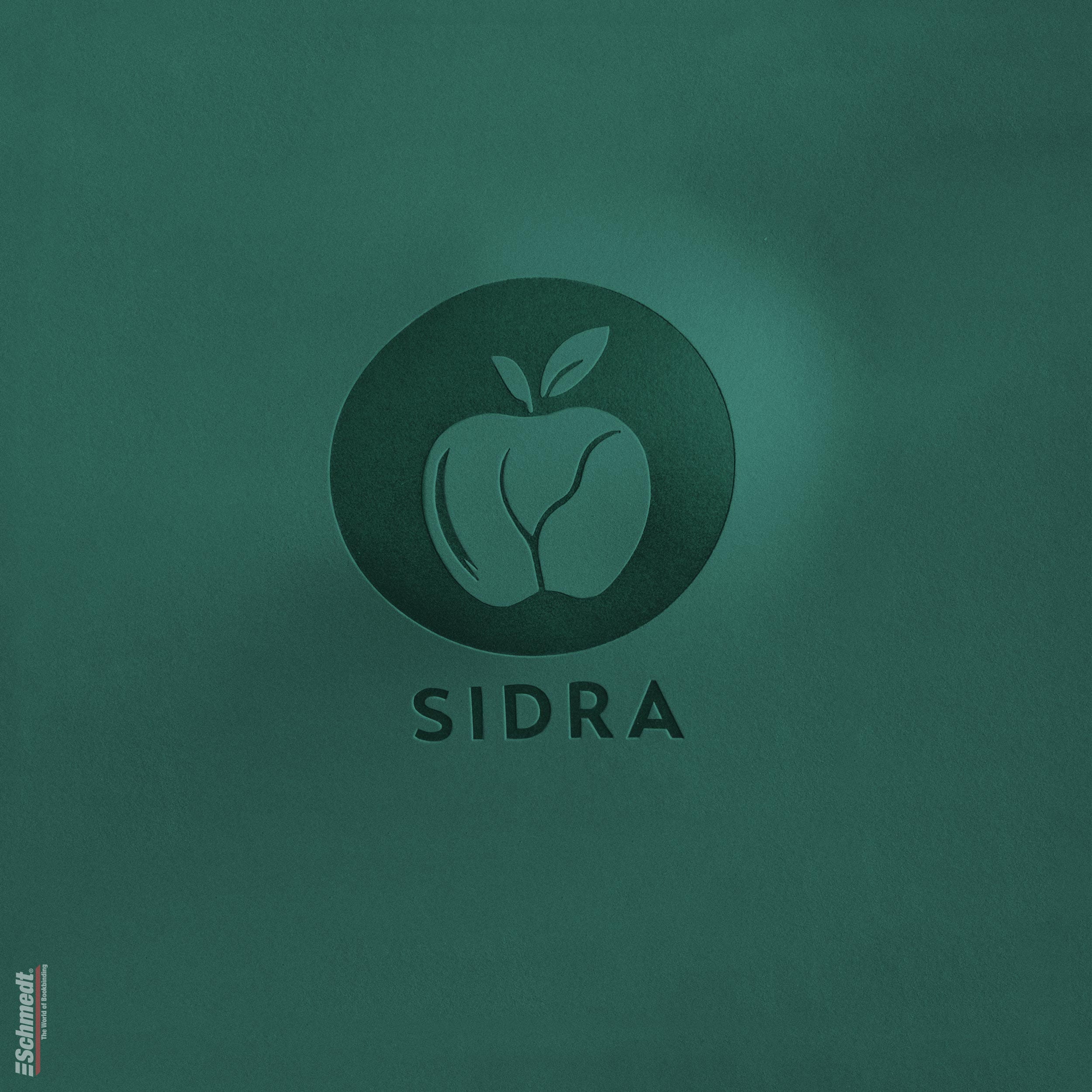 Sidra • cuero de manzana - Color 022 - verde ópalo - Aplicación: para tapas de libros de alta calidad, álbumes, menús, cajas etc.... - imagen-1