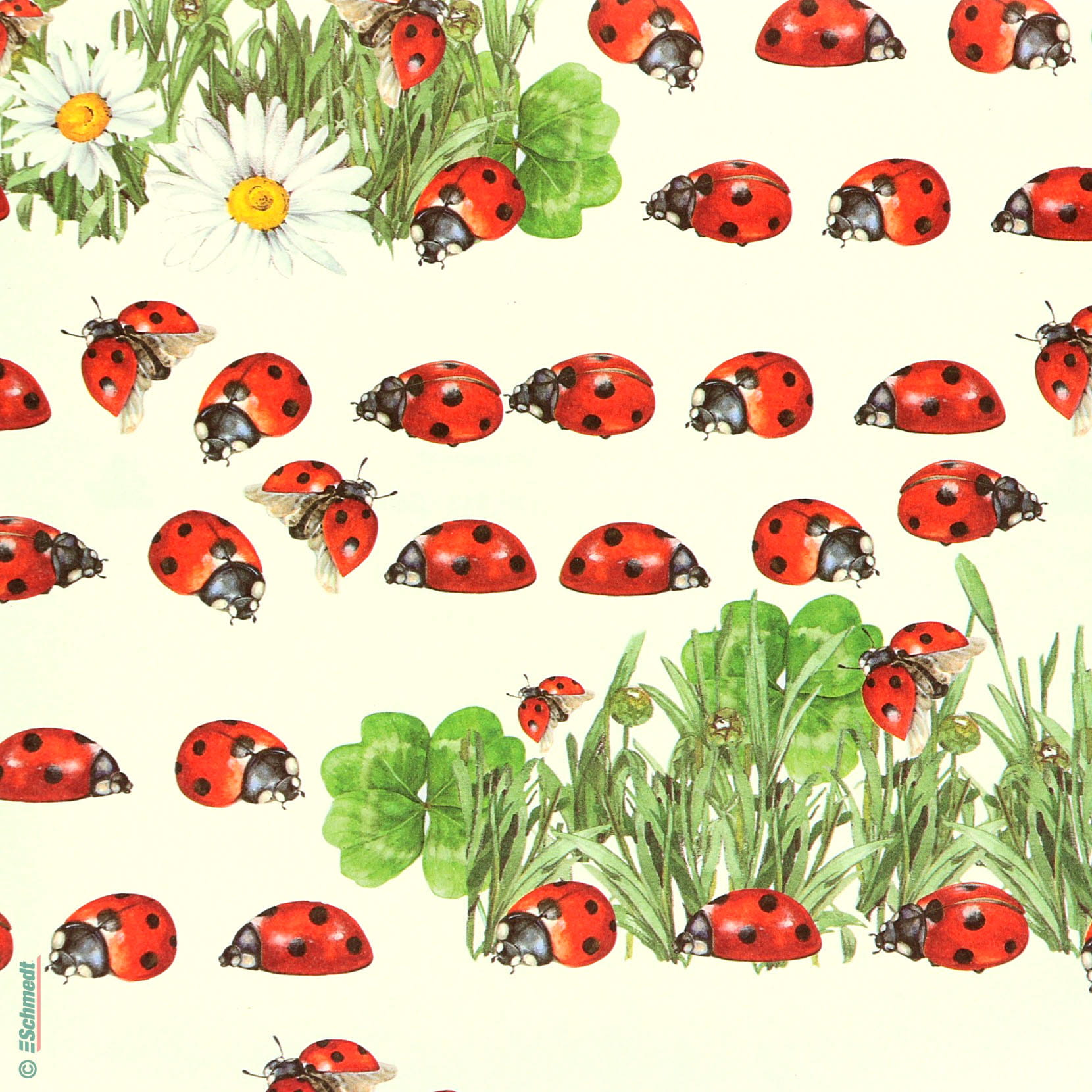 039 - Ladybird