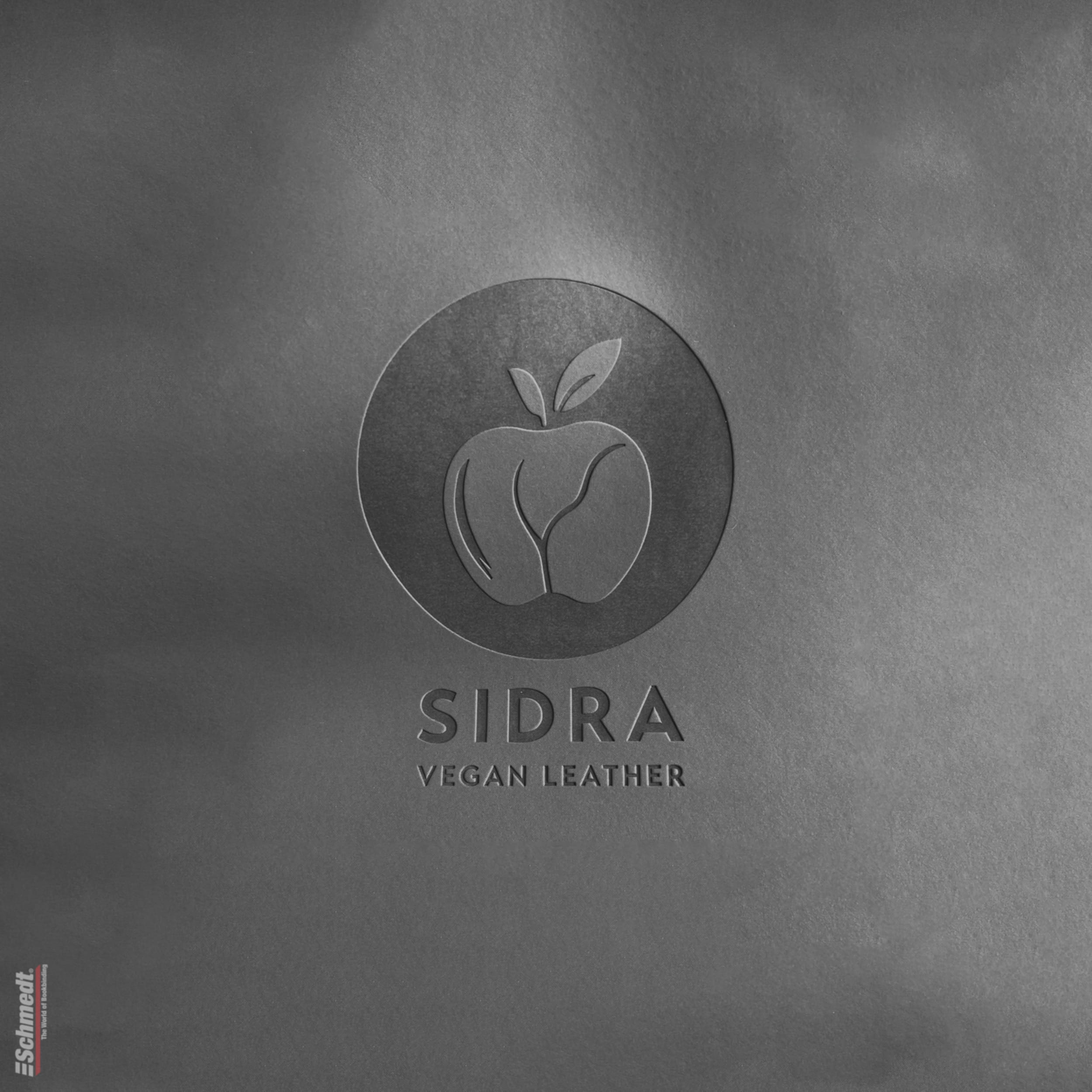 Sidra • cuero de manzana - Color 018 - gris asfáltico - Aplicación: para tapas de libros de alta calidad, álbumes, menús, cajas etc.... - imagen-1