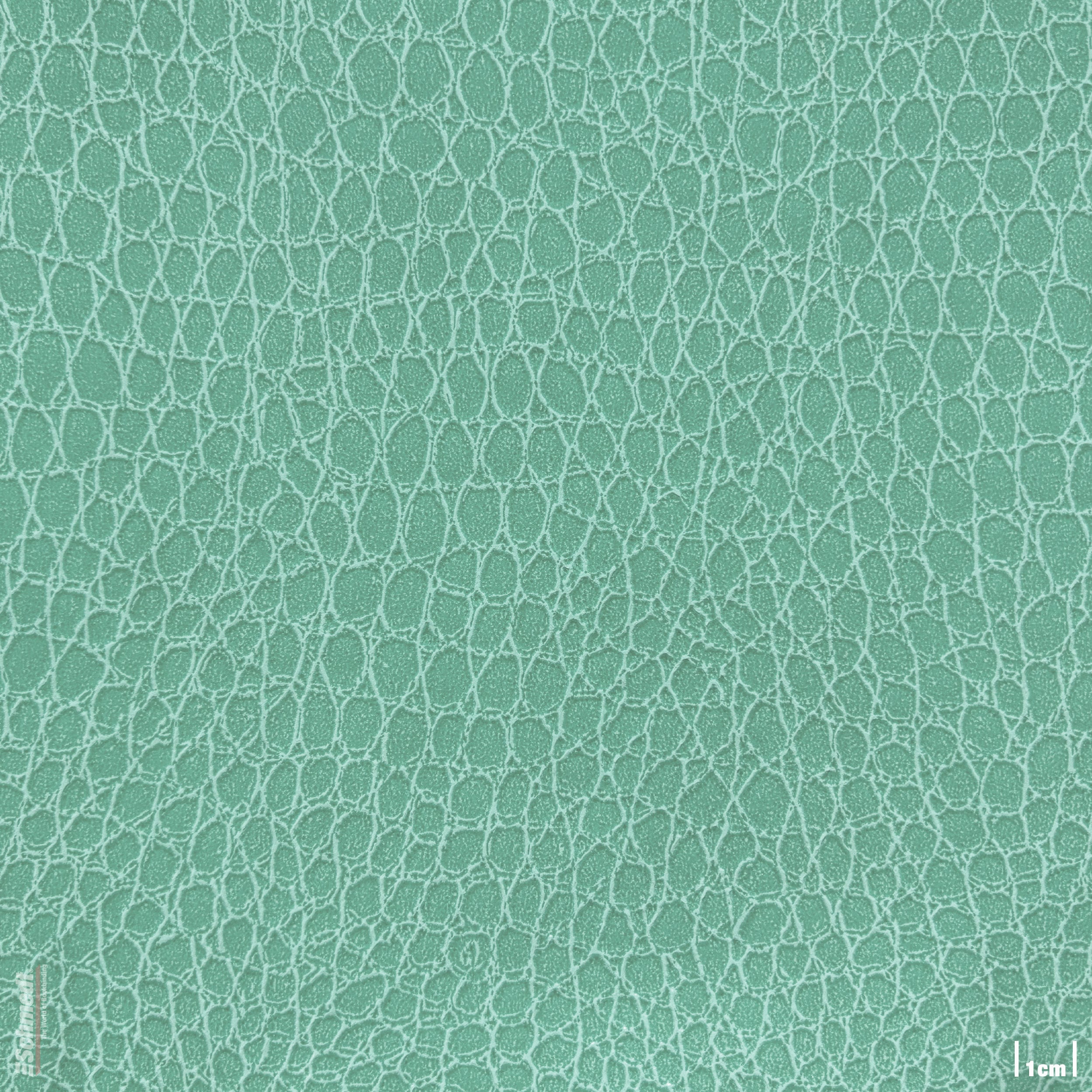 047 - menthe